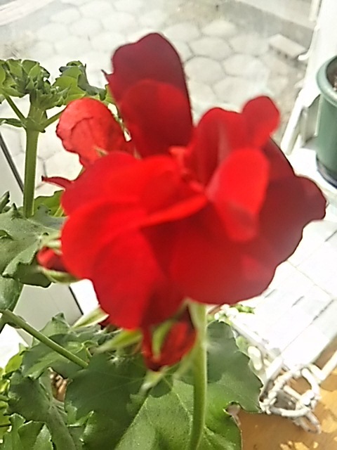 f0316507_13073852.jpg