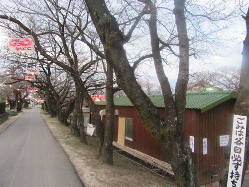 f0231709_8113672.jpg