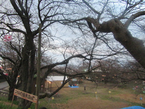 f0231709_8132491.jpg