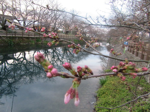 f0231709_894564.jpg