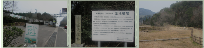 f0231709_9475938.png