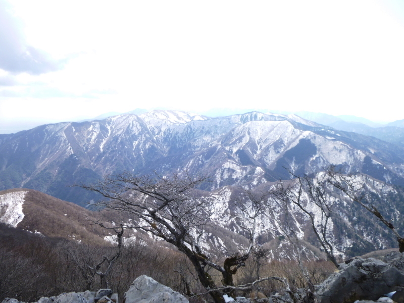 d0170615_08365120.jpg