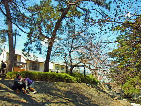 e0083517_00560526.jpg