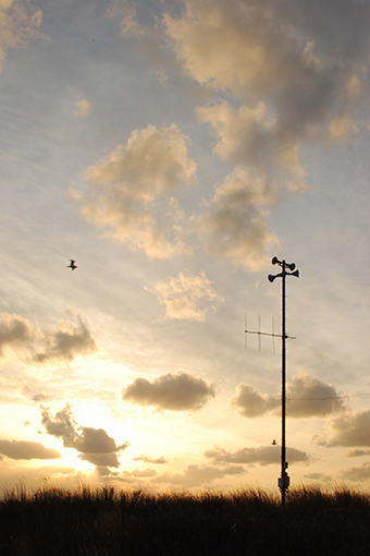 b0259218_22034260.jpg