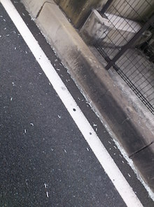 d0106518_15515550.jpg