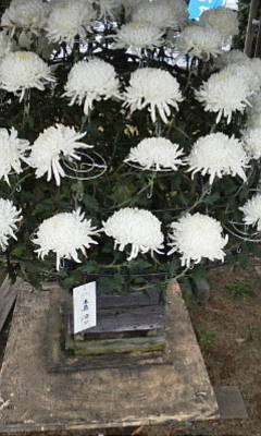 c0074721_15113805.jpg
