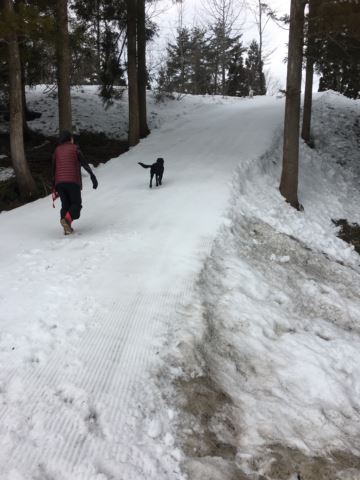 c0114121_2259962.jpg
