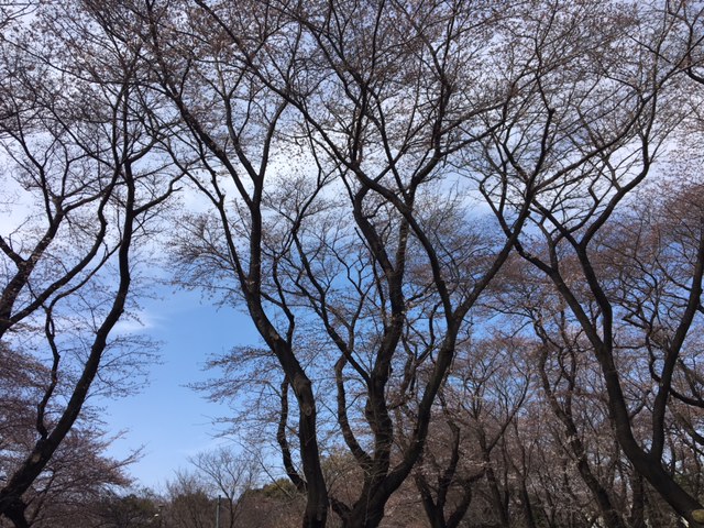 c0038722_14591780.jpg