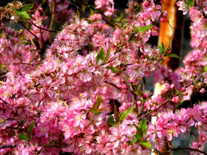 d0044222_01272413.jpg
