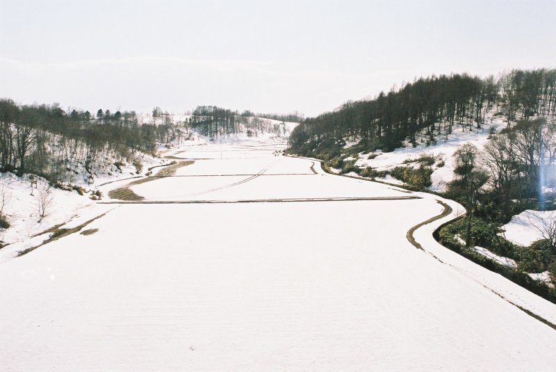 f0362725_15352865.jpg