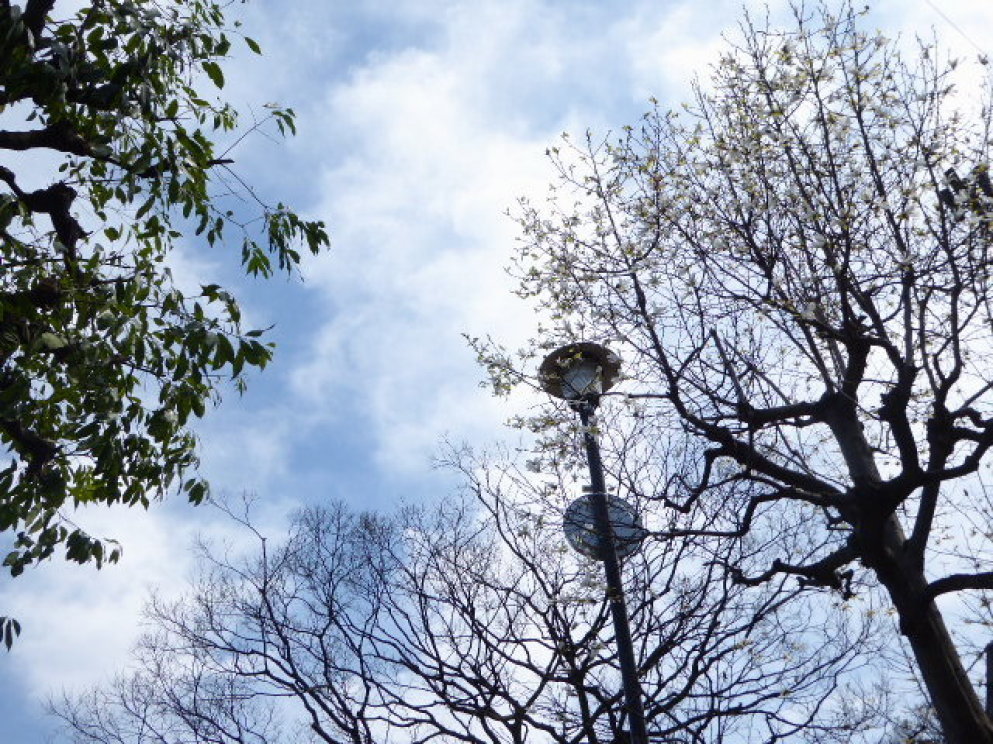 e0059726_16074859.jpg