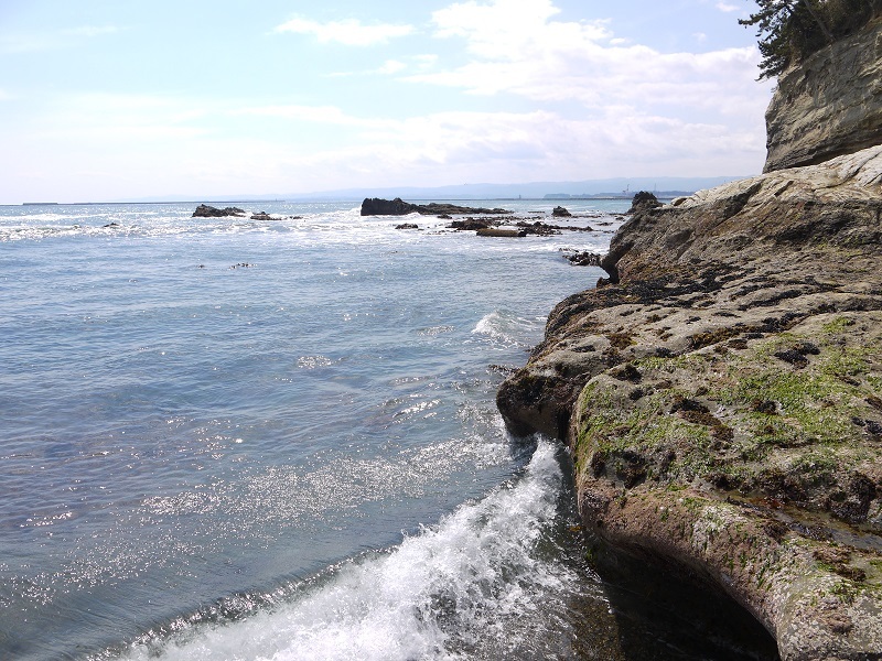 e0137130_22420138.jpg