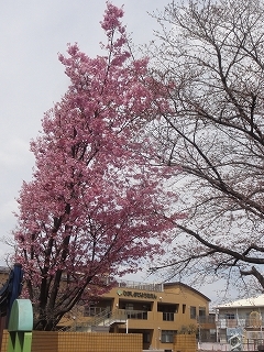 c0147935_20061816.jpg