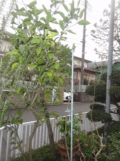 c0147935_20214526.jpg