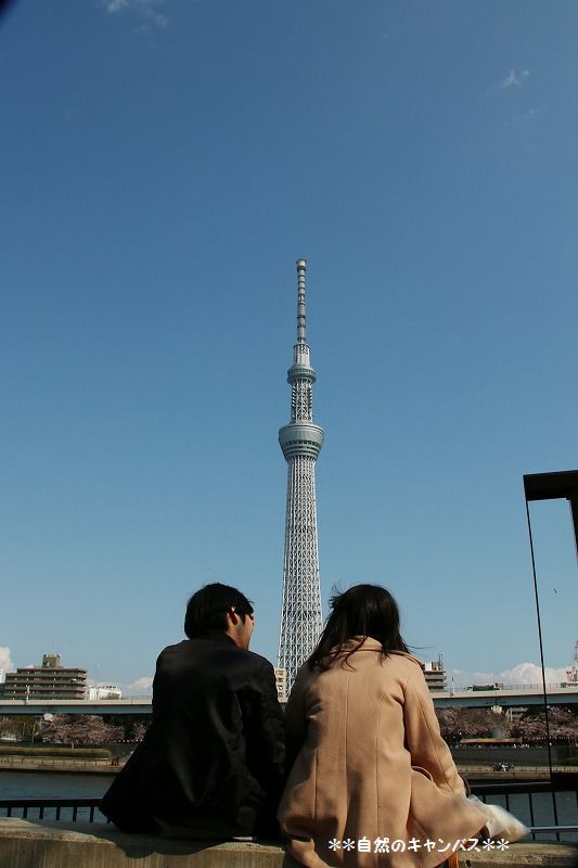 e0052135_21331221.jpg
