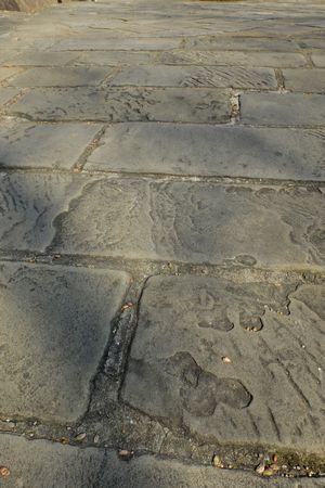 c0148238_10081840.jpg