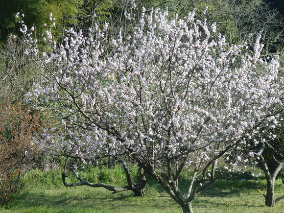 a0054240_21311843.jpg