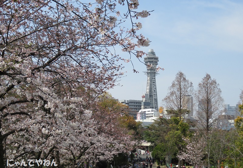 f0002743_13574982.jpg