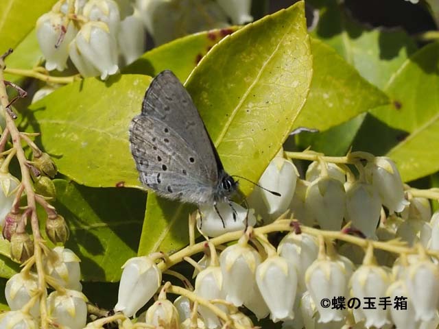b0107948_19392294.jpg