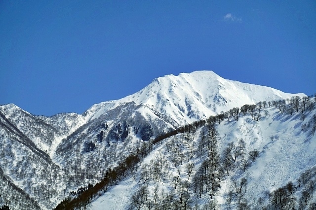 b0122448_18382612.jpg