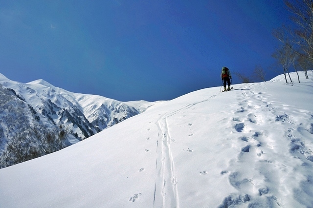 b0122448_18392013.jpg