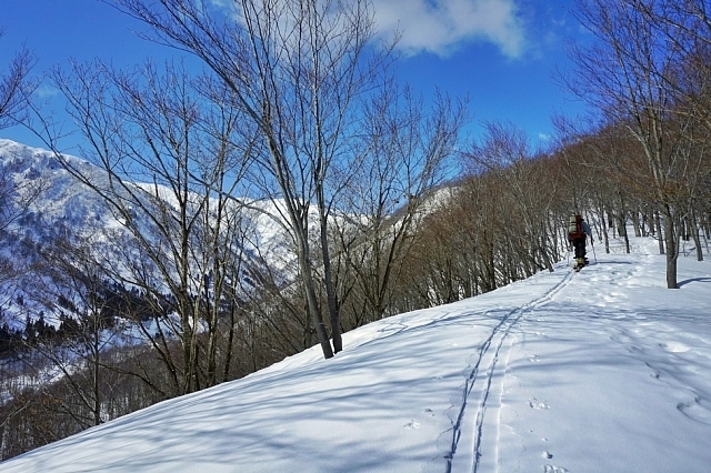 b0122448_18443872.jpg