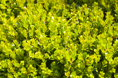 f0077849_20294128.jpg