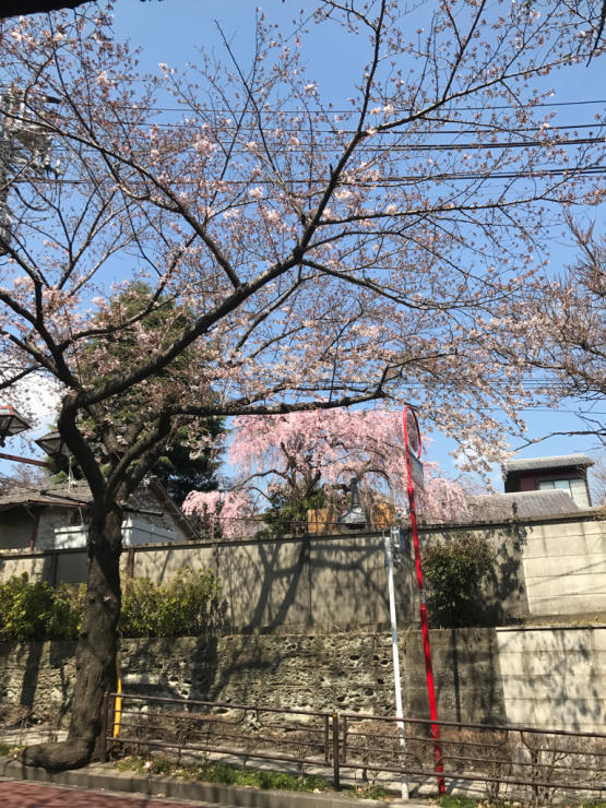 b0021251_12083530.jpg