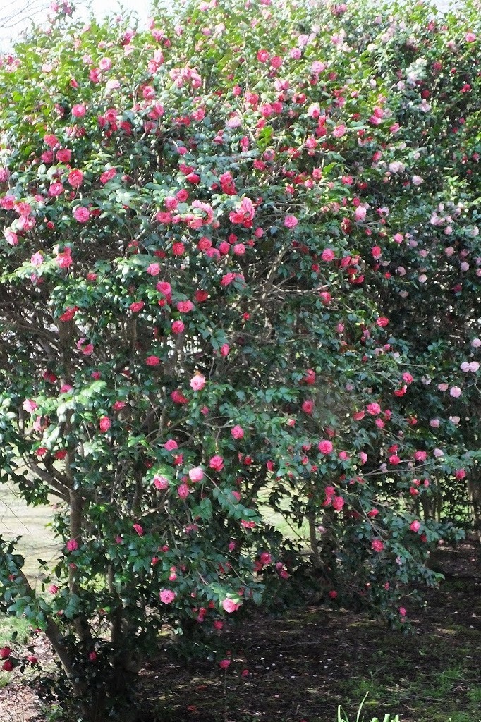b0236251_11285082.jpg