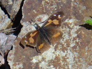 e0256851_20511886.jpg