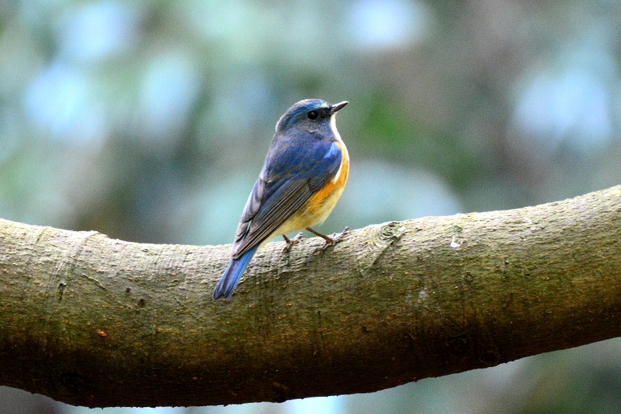 f0124451_23364961.jpg