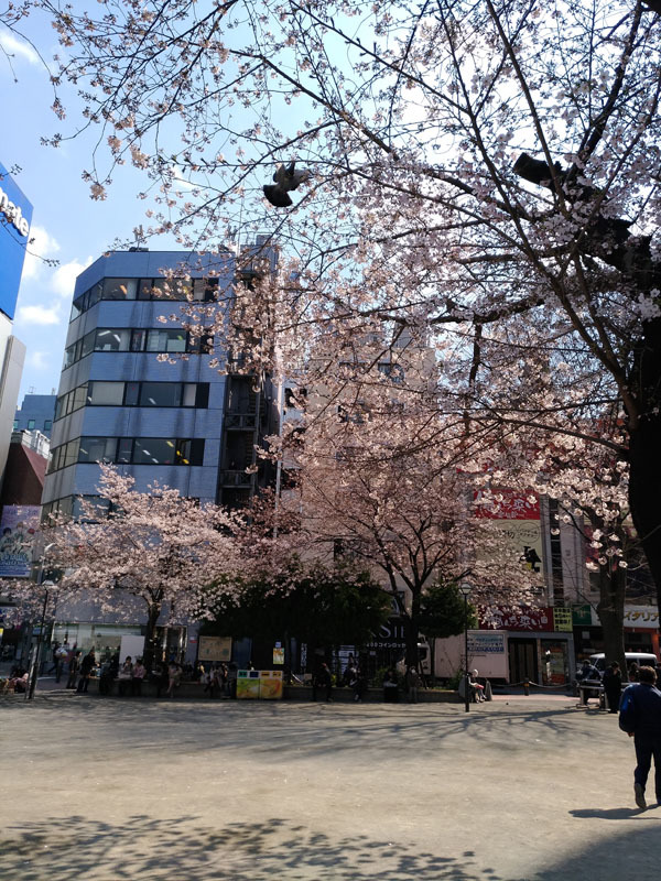 c0058052_19294602.jpg