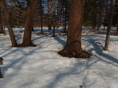 e0004756_2132537.jpg