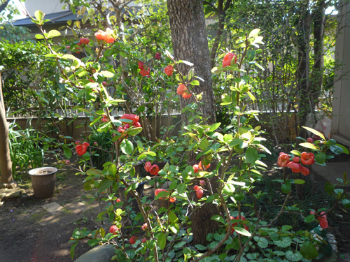 b0045357_15235037.jpg