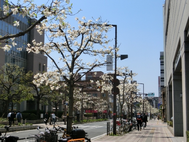 c0328559_20052946.jpg