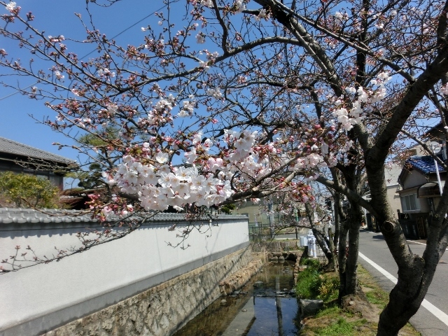 c0328559_20062915.jpg