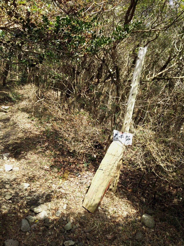 c0042869_05482879.jpg