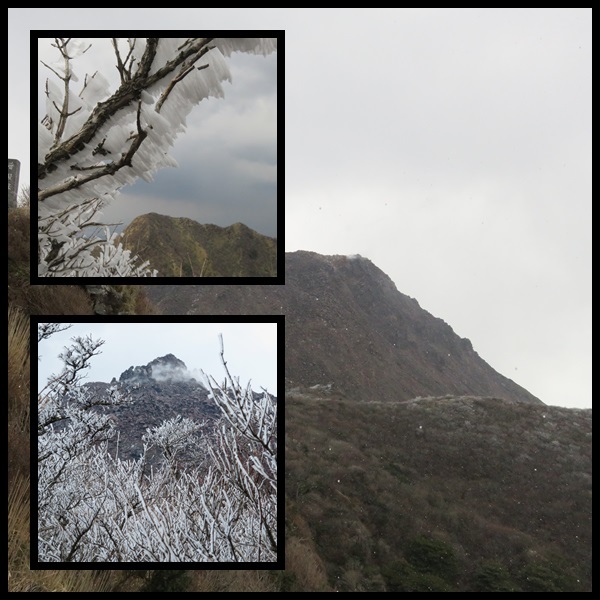 c0042869_16094750.jpg