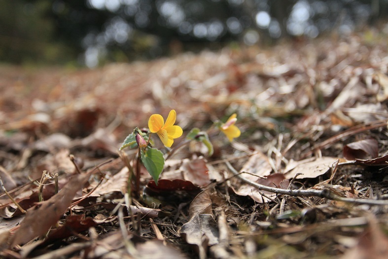 e0304170_20125656.jpg