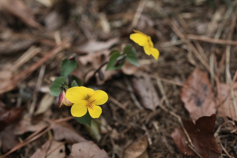 e0304170_20134323.jpg