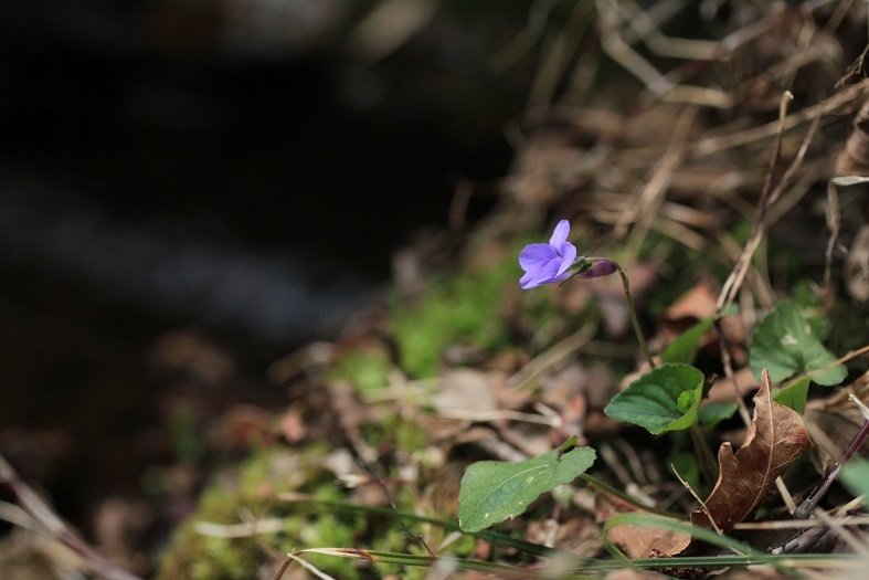 e0304170_20140996.jpg