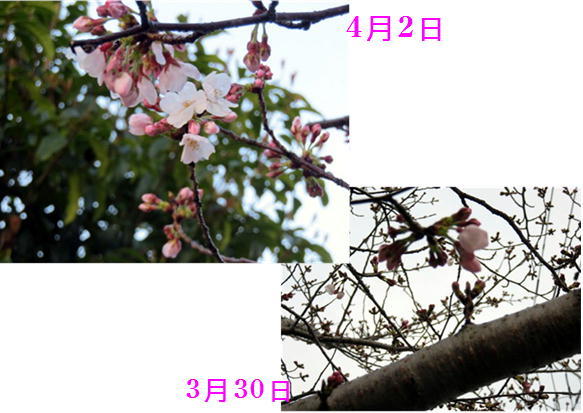 f0003174_13193896.jpg