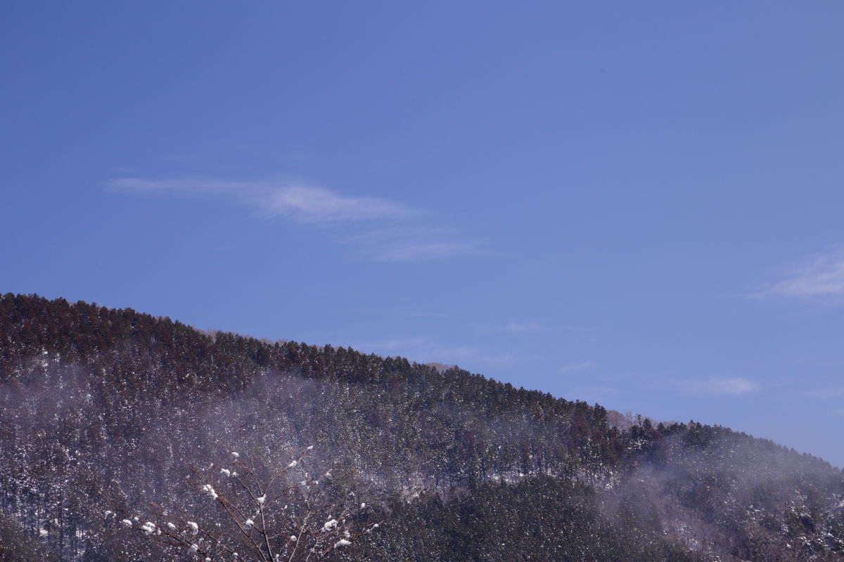 f0236776_20510162.jpg