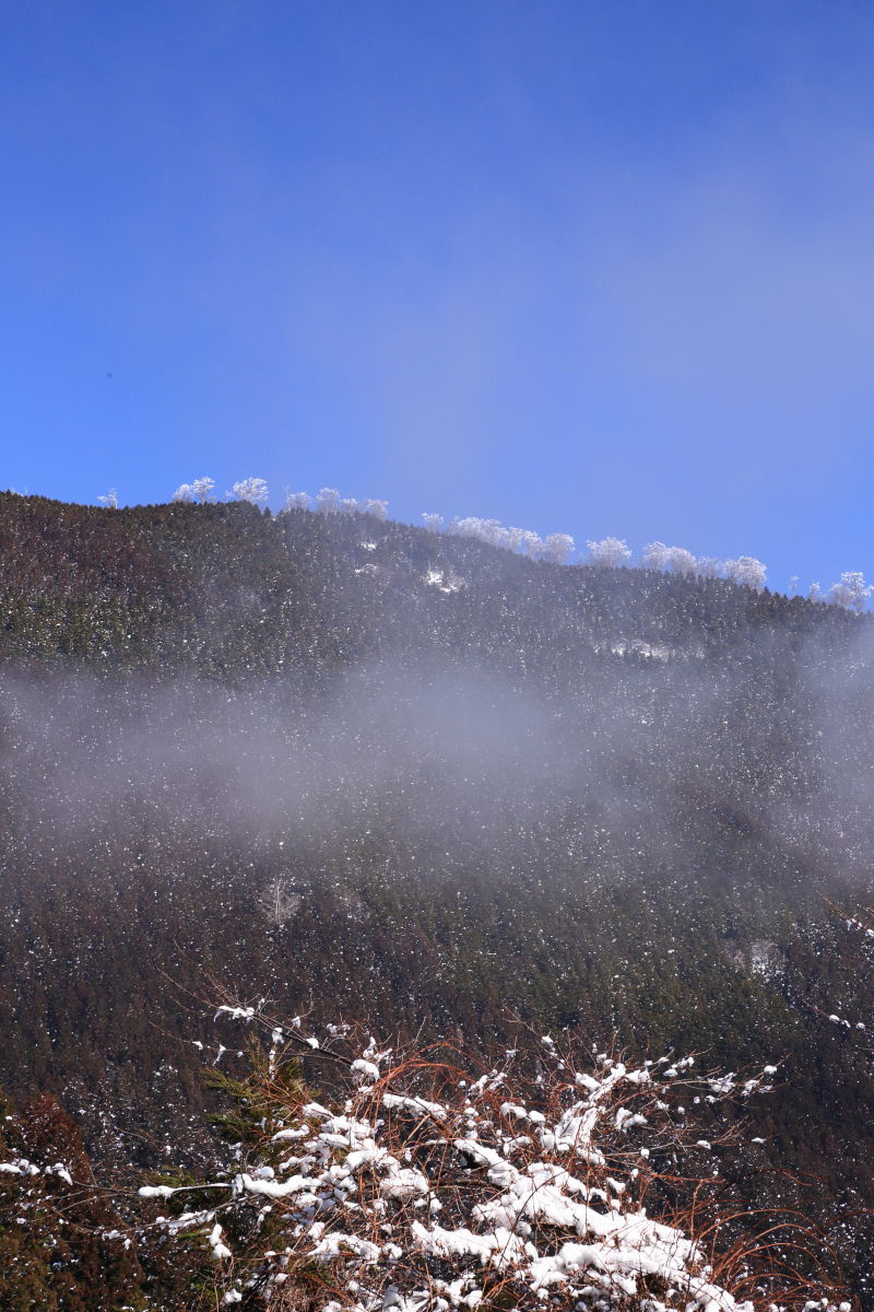 f0236776_20510576.jpg