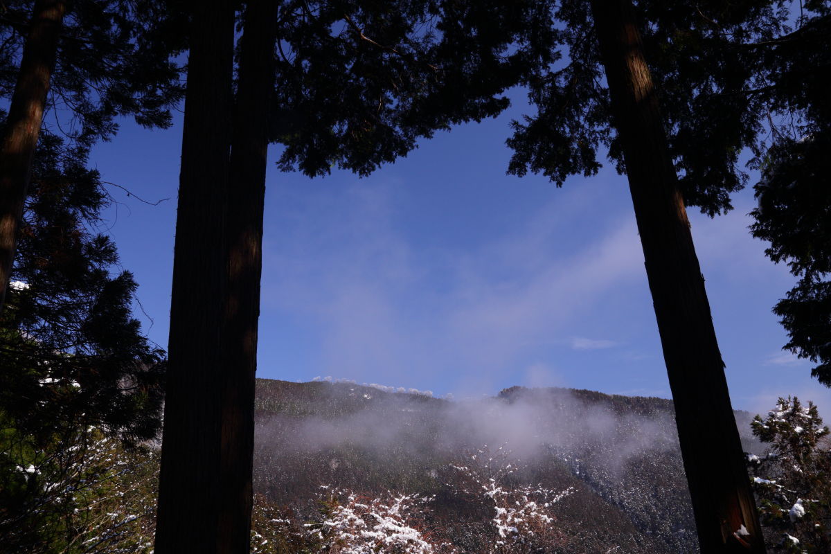 f0236776_20510873.jpg