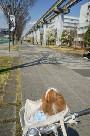 a0198883_23324020.jpg