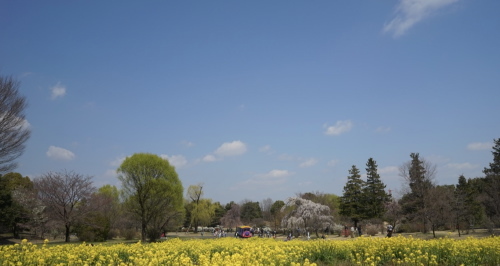 a0198883_23334103.jpg