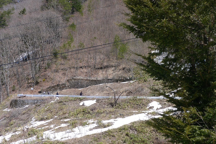 a0130586_15423857.jpg