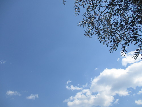 d0333091_1942245.jpg