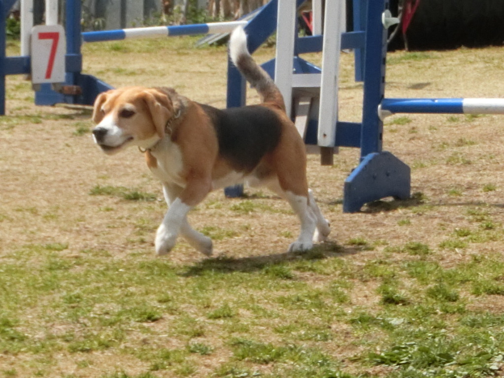 a0319693_7595728.jpg